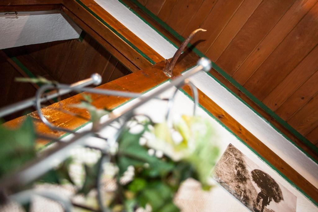 Chalet Appartement Alpenherz Saalbach-Hinterglemm Room photo